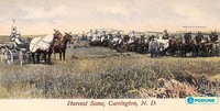 Old Photo of Horses and Carriages 